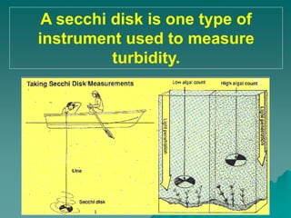 A secchi disk is one type of
instrument used to measure
turbidity.
 