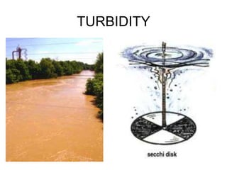 TURBIDITY
 