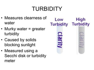 TURBIDITY
• Measures clearness of
water
• Murky water = greater
turbidity
• Caused by solids
blocking sunlight
• Measured using a
Secchi disk or turbidity
meter
 