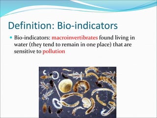 Definition: Bio-indicators
 Bio-indicators: macroinvertibrates found living in
water (they tend to remain in one place) that are
sensitive to pollution
 