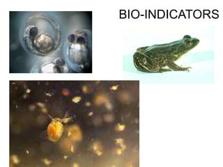BIO-INDICATORS
 