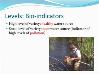 Levels: Bio-indicators
 High level of variety: healthy water source
 Small level of variety: poor water source (indicator of
high levels of pollution)
 