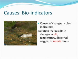 Causes: Bio-indicators
 Causes of changes in bio-
indicators:
Pollution that results in
changes in pH,
temperature, dissolved
oxygen, or nitrate levels
 