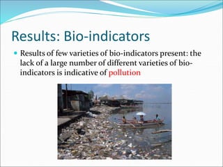Results: Bio-indicators
 Results of few varieties of bio-indicators present: the
lack of a large number of different varieties of bio-
indicators is indicative of pollution
 