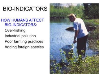 BIO-INDICATORS
HOW HUMANS AFFECT
BIO-INDICATORS:
Over-fishing
Industrial pollution
Poor farming practices
Adding foreign species
 