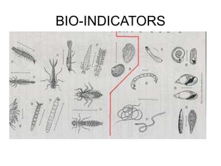 BIO-INDICATORS
 