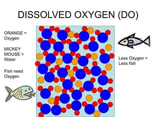 DISSOLVED OXYGEN (DO)
ORANGE =
Oxygen
MICKEY
MOUSE =
Water
Fish need
Oxygen
Less Oxygen =
Less fish
 