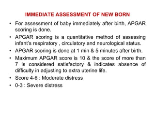 986_assessment_of_new_born_nursing.pdf