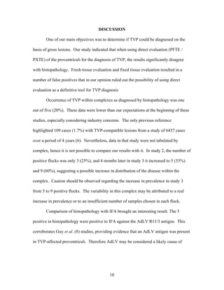 10
DISCUSSION
One of our main objectives was to determine if TVP could be diagnosed on the
basis of gross lesions. Our study indicated that when using direct evaluation (PFTE /
PXTE) of the proventriculi for the diagnosis of TVP, the results significantly disagree
with histopathology. Fresh tissue evaluation and fixed tissue evaluation resulted in a
number of false positives that in our opinion ruled out the possibility of using direct
evaluation as a definitive tool for TVP diagnosis
Occurrence of TVP within complexes as diagnosed by histopathology was one
out of five (20%). These data were lower than our expectations at the beginning of these
studies, especially considering industry concerns. The only previous reference
highlighted 109 cases (1.7%) with TVP-compatible lesions from a study of 6437 cases
over a period of 4 years (6). Nevertheless, data in that study were not tabulated by
complex, hence it is not possible to compare our results with it. In study 2, the number of
positive flocks was only 3 (25%), and 4 months later in study 3 it increased to 5 (33%)
and 9 (60%), suggesting a possible increase in distribution of the disease within the
complex. Caution should be observed regarding the increase in prevalence in study 3
from 5 to 9 positive flocks. The variability in this complex may be attributed to a real
increase in prevalence or to an insufficient number of samples chosen in each flock.
Comparison of histopathology with IFA brought an interesting result. The 5
positive in histopathology were positive to IFA against the AdLV R11/3 antigen. This
corroborates Guy et al. (8) studies, providing evidence that an AdLV antigen was present
in TVP-affected proventriculi. Therefore AdLV may be considered a likely cause of
 
