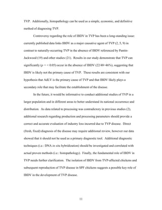 11
TVP. Additionally, histopathology can be used as a simple, economic, and definitive
method of diagnosing TVP.
Controversy regarding the role of IBDV in TVP has been a long-standing issue:
currently published data links IBDV as a major causative agent of TVP (2, 5, 9) in
contrast to naturally-occurring TVP in the absence of IBDV referenced by Pantin-
Jackwood (19) and other studies (21). Results in our study demonstrate that TVP can
significantly (p = < 0.05) occur in the absence of IBDV (22/48=46%), suggesting that
IBDV is likely not the primary cause of TVP. These results are consistent with our
hypothesis that AdLV is the primary cause of TVP and that IBDV likely plays a
secondary role that may facilitate the establishment of the disease.
In the future, it would be informative to conduct additional studies of TVP in a
larger population and in different areas to better understand its national occurrence and
distribution. As data related to processing was contradictory in previous studies (2),
additional research regarding production and processing parameters should provide a
correct and accurate evaluation of industry loss incurred due to TVP disease. Direct
(fresh, fixed) diagnosis of the disease may require additional review, however our data
showed that it should not be used as a primary diagnostic tool. Additional diagnostic
techniques (i.e.: DNA in situ hybridization) should be investigated and correlated with
actual proven methods (i.e.: histopathology). Finally, the fundamental role of IBDV in
TVP needs further clarification. The isolation of IBDV from TVP-affected chickens and
subsequent reproduction of TVP disease in SPF chickens suggests a possible key role of
IBDV in the development of TVP disease.
 