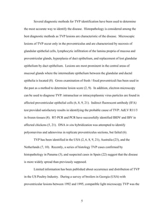 5
Several diagnostic methods for TVP identification have been used to determine
the most accurate way to identify the disease. Histopathology is considered among the
best diagnostic methods as TVP lesions are characteristic of the disease. Microscopic
lesions of TVP occur only in the proventriculus and are characterized by necrosis of
glandular epithelial cells, lymphocytic infiltration of the lamina propria of mucosa and
proventricular glands, hyperplasia of duct epithelium, and replacement of lost glandular
epithelium by duct epithelium. Lesions are most prominent in the central areas of
mucosal glands where the intermediate epithelium between the glandular and ductal
epithelia is located (8). Gross examination of fresh / fixed proventriculi has been used in
the past as a method to determine lesion score (2, 9). In addition, electron microscopy
can be used to diagnose TVP: intranuclear or intracytoplasmic virus particles are found in
affected proventricular epithelial cells (6, 8, 9, 21). Indirect fluorescent antibody (IFA)
test provided satisfactory results in identifying the probable cause of TVP: AdLV R11/3
in frozen tissues (8). RT-PCR and PCR have successfully identified IBDV and IBV in
affected chickens (5, 21). DNA in situ hybridization was attempted to identify
polyomavirus and adenovirus in replicate proventriculus sections, but failed (6).
TVP has been identified in the USA (2, 6, 8, 9, 21), Australia (23), and the
Netherlands (7, 10). Recently, a series of histology TVP cases confirmed by
histopathology in Panama (3), and suspected cases in Spain (22) suggest that the disease
is more widely spread than previously supposed.
Limited information has been published about occurrence and distribution of TVP
in the US Poultry Industry. During a survey of broilers in Georgia (USA) with
proventricular lesions between 1992 and 1995, compatible light microscopy TVP was the
 