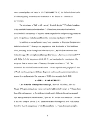 6
most commonly observed lesion in 109/220 birds (49.5%) (6). No further information is
available regarding occurrence and distribution of this disease in a commercial
environment.
The importance of TVP is still currently debated, despite TVP-infected chickens
being considered more costly to produce (7, 13) and that proventriculitis has been
associated with a wide range of negative effects on production and processing parameters
(2, 8). No published study has established the economic significance of TVP.
In addition, no survey has previously been conducted to determine the occurrence
and distribution of TVP in a specific geographical area. Evaluation of fresh and fixed
tissue, including lesion scoring have been conducted (2, 8), however correlation with
histopathology / IFA testing has not been yet determined. Likewise, association of TVP
with IBDV (2, 5, 9), is controversial (4, 19, 21) and requires further examination. Our
study was done to answer some of these specific questions related to TVP. We
determined the occurrence and distribution of TVP in a representative geographical area
of North Carolina, compared different diagnostic techniques to determine correlations
among them, and evaluated the presence of IBD lesions associated with TVP.
MATERIALS AND METHODS
Case materials and experimental design. Between November, 2004 and
March, 2005, proventriculi and bursae were collected from 530 broilers in 78 flocks from
four different integrators in five different complexes (A-E) located in various areas of
high poultry density in North Carolina (Figure 1). Six studies were conducted (1-6); two
at the same complex (studies 2, 3). The number of flocks sampled in each study varied
from 9 to 16, with an age range of 6 to 56 days (Table 1). Flocks from each complex
 