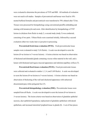 7
were evaluated to determine the prevalence of TVP and IBD. All methods of evaluation
were not used in all studies. Samples of proventriculi and bursae were fixed in 10%
neutral buffered formalin and proventriculi were transferred to 70% ethanol after 72 hrs.
Tissues were processed for histopathology using conventional paraffin embedding and
staining with hematoxylin and eosin. After identification by histopathology of TVP
lesions in chickens from flocks in study 2, a second study (study 3) was conducted,
consisting of two parts. Fifteen flocks were examined initially, followed by a second
evaluation either two weeks later or just prior to processing.
Proventriculi fresh tissue evaluation (PFTE). Fresh proventricular tissue
samples were evaluated in study 5 (16 flocks). A scale was developed to score the
lesions (0=no lesions to 3=severe lesions). A lesion criterion was based on observation
of thickened and distended glands containing viscous white material in the wall, and a
lumen with thickened and rugose mucosal appearance and indistinct papillary orifices (7).
Proventriculi fixed tissues evaluation (PXTE). Fixed proventricular tissues
were collected and evaluated in studies 1, 2, 4, and 5 (49 flocks). A scale was developed
to score the lesions (0=no lesions to 3=severe lesions). A lesion criterion was based on
observation of thickening of the wall and checkered appearance with subserosal
disseminated gray-white polygonal foci (7).
Proventriculi histopathology evaluation (PHE). Proventricular tissues were
sampled from all flocks. A scale was developed to score the lesions (0=no lesions to
3=severe lesions). The lesion criteria were based on observation of glandular epithelial
necrosis, duct epithelial hyperplasia, replacement of glandular epithelium with ductal
epithelium, and increased interstitial lymphoid tissue in glands (8). A set of four pieces
 