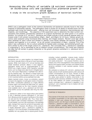 Assessing the effects of variable LB nutrient concentration
on Escherichia coli and Lactobacillus plantarum growth in
solid agar
A study in the co-culture growth dynamics of bacterial biofilms
MINA KODSI
Rensselaer Polytechnic Institute
Department of Biology
Troy, NY 12180
EPEC’s are a pathogenic strain of the common Escherichia coli bacterium naturally found in the lower
intestine of mammalian species. This pathogenic strain is known for its ability to secrete toxins into the
epithelial cells lining the intestine walls – altering host cell monolayer resistance, macromolecular per-
meability, and morphology. The objective of this experiment was to determine the ideal nutrient con-
centration that enables Lactobacillus plantarum to outgrow Escherichia coli when grown in co-culture
biofilms. Co-cultures of E. coli and L. plantarum and single cultures of both bacterial species were cul-
tivated under 3 LB nutrient concentrations (20g/L, 40g/L, and 60g/L) for 24 hours. Cellular growth dy-
namics were analyzed using Coomassie Blue staining, and ImageJ analysis. Percent cover-age values
were obtained for each culture and plotted to identify cross-trends between the bacteria growing in
isolation and together in a co-culture. At an LB nutrient concentration of 40g/L, covering 71% of the
plate it was cultivated in, the co-culture exhibited its highest plate coverage, and exhibited growth pat-
terns similar to that of the single culture of L. plantarum. This concludes that L. plantarum’s capability
in outgrowing E. coli is maximized at low to medium nutrient concentrations. This study also supports
the idea that LB nutrient is greatly influential on the growth dynamics exhibited in L. plantarum and E.
coli biofilms.
INTRODUCTION
Escherichia coli is a gram-negative rod shaped bacte-
rium that is naturally found in the gut of most mammalian
species. While most strains of E. coli are harmless and
exhibit beneficial symbiotic effects in food digestion,
pathogenic strains such as, Enteropathogenic E. coli
(EPEC) are a highly invasive. EPEC bacterium secretes
toxins, such as shiga toxins (also found in Shigella bacte-
rium), that cause inflammation in epithelial host cells lin-
ing the intestinal wall3
. The diffusion of these toxins into
the epithelial cells of the intestine is due to E. coli’s ability
to form bacterial biofilms across epithelial host cells.
Helpful bacterial strains, known as probiotics, prevent
and aid in the digestion of pathogenic strains of bacteria,
like EPEC. Lactobacillus plantarum is a highly effective
probiotic agent, and recently the 299V strain of L. planta-
rum was recognized as the most impactful probiotic
strain available. Like E. coli, L. plantarum can form bac-
terial biofilms across the epithelial cells lining the intes-
tine2
.
L. plantarum’s ability to form large-surface area biofilms
is why it effectively prevents pathogenic E. coli toxins
from diffusing across the apical membrane of the intesti-
nal wall and into the epithelial cells. Thus, these toxins
are unable to alter monolayer resistance, macromolecu-
lar permeability, and host cell morphology in the epithelial
cells; changes that cause the symptoms associated with
EPEC infection3
. However, the efficacy of this probiotic
is largely dependent upon L. plantarum’s capability to
outgrow E. coli in the formation of bacterial biofilms. This
capability can vary greatly due to several growth factors
including; nutrient availability, moisture levels, medium
permeability, availability of growth space, temperature,
and waste production1
. Our purpose therefore, was to
analyze one of the most significant cross-species growth
factors that impacts biofilm formation and cellular growth
dynamics exhibited in both bacterial species: nutrient
availability.
We cultivated co-cultures of E. coli and L. plantarum and
single cultures of both bacterial species under various LB
nutrient concentrations for 24 hours. Percent of plate
coverage was obtained by use of ImageJ analysis, and
the values were plotted to identify cross-trends in the
bacterial growth dynamics exhibited in all three cultures
at the three different LB nutrient concentrations. Our
results concluded that L. plantarum’s capability in out-
growing E. coli is maximized in low to medium LB nutri-
ent concentrations.
PURPOSE OF RESEARCH
The purpose of this study was to analyze the influence of
LB nutrient concentration on the colony plate coverage
exhibited in both pure cultures and co-cultures of L.
plantarum and E. coli. We hope to identify trends that will
maximize L. plantarum’s ability to outcompete E. coli in
co-culture biofilms– possibly leading to more effective
probiotic defense against pathogenic bacterial infections.
 