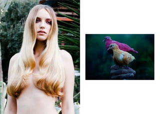 H A I R  E T C .
- 3 8 -
 