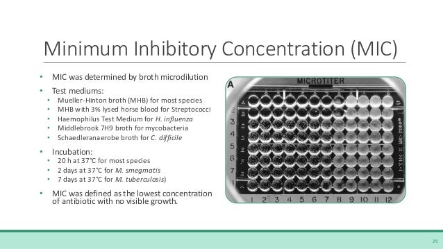 protein blood test m Teixobactin and iChip