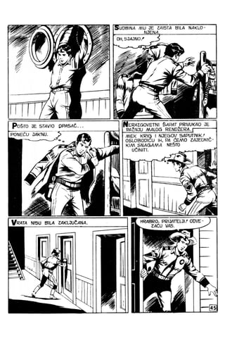 988  NOVI KANTON.PDF