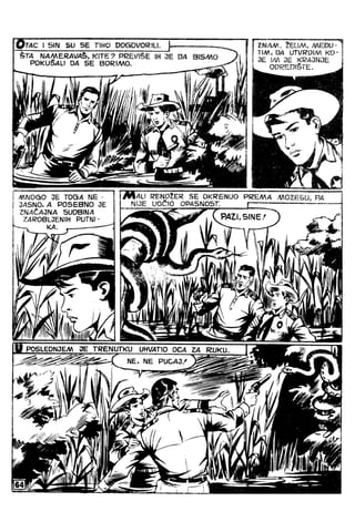 988  NOVI KANTON.PDF