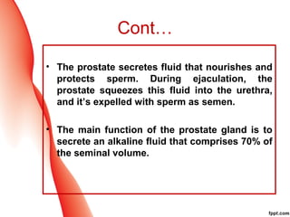 Prostrate Fluid BPH | PPT
