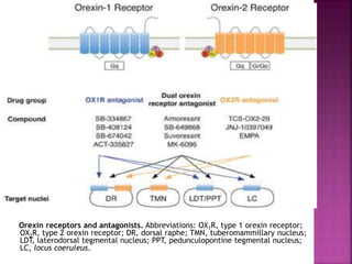 Ox R Orexin receptors and their potential as drug targets | PPTX