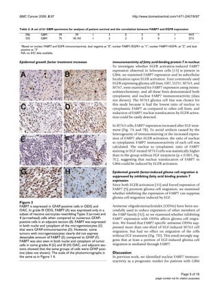 Nuclear FABP7 immunoreactivity is preferentially expressed in infiltrated glioma