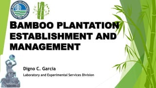 Digno C. Garcia
Laboratory and Experimental Services Division
BAMBOO PLANTATION
ESTABLISHMENT AND
MANAGEMENT
 