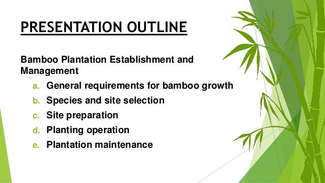 research proposal on bamboo