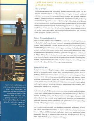 Dr. Hassan AUC GWU Marketing Dept Brochure w strategic goals