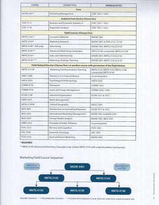 Dr. Hassan AUC GWU Marketing Dept Brochure w strategic goals
