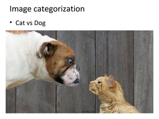 Image categorization
• Cat vs Dog
 