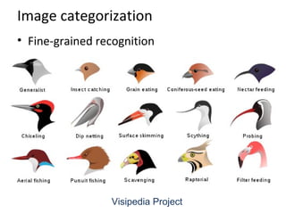Image categorization
• Fine-grained recognition
Visipedia Project
 