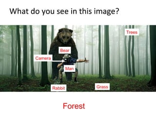 What do you see in this image?
Can I put stuff in it?
Forest
Trees
Bear
Man
Rabbit Grass
Camera
 