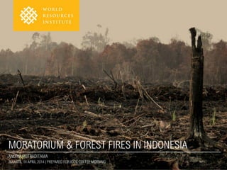 Moratorium & Forest Fires in Indonesia