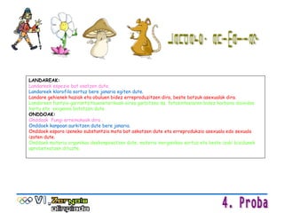 Landare, animalia? LANDAREAK:  Landareek espezie bat osatzen dute . Landareek klorofila sortuz bere janaria egiten dute .   Landare gehienek haziak eta obuluen bidez erreproduzitzen dira, beste batzuk asexualak  dira. Landareen funtzio garrantzitsuenetarikoak airea garbitzea da, fotosintesiaren bidez   karbono dioxidoa   hartu eta  oxigenoa botatzen dute . ONDDOAK: O nddoak  Fungi erreinukoak dira   . O nddoek kanpoan aurkitzen dute bere janaria.   Onddoek espora izeneko substantzia mota bat askatzen dute eta erreprodukzio asexuala edo sexuala   izaten dute . Onddoek materia organikoa deskonposatzen dute, materia inorganikoa sortuz eta beste izaki bizidunek   aprobetxatzen dituzte. 
