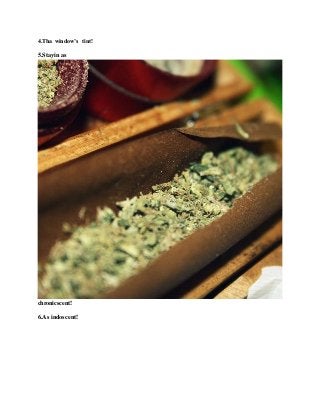 4.Tha window’s tint!
5.Stayin as
chronicscent!
6.As indoscent!
 