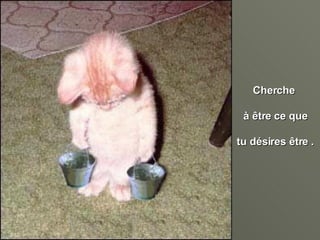 Cherche  à être ce que tu désires être . 