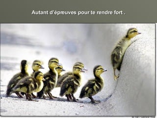 Autant d’épreuves pour te rendre fort . 