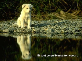 Et tout ce qui blesse ton coeur .  