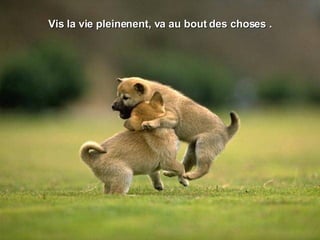 Vis la vie pleinenent, va au bout des choses . 