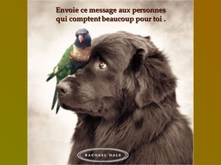 Envoie ce message aux personnes qui comptent beaucoup pour toi . 