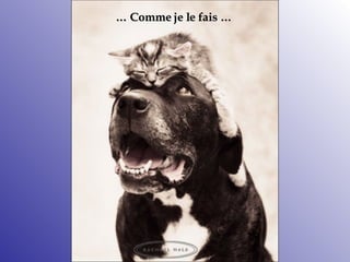 …  Comme je le fais  … 