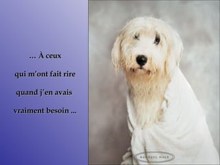 …   À  ceux  qui m’ont fait rire quand j’en avais  vraiment besoin  ... 