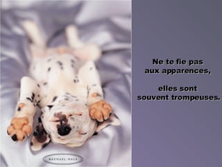 Ne te fie pas  aux apparences,  elles sont  souvent trompeuses . 