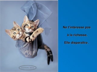 Ne t’intéresse pas  à la richesse, Elle disparaîtra .  