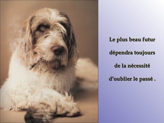 Le plus beau futur dépendra toujours  de la nécessité d’oublier le passé . 