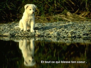 Et tout ce qui blesse ton coeur .  