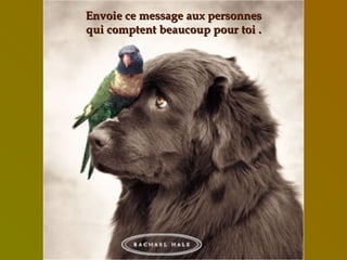 Envoie ce message aux personnes qui comptent beaucoup pour toi . 