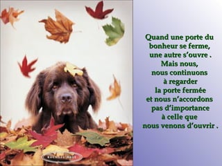 Quand une porte du  bonheur se ferme,  une autre s’ouvre . Mais nous,  nous continuons  à regarder la porte fermée et nous n’accordons  pas d’importance à celle que  nous venons d’ouvrir . 