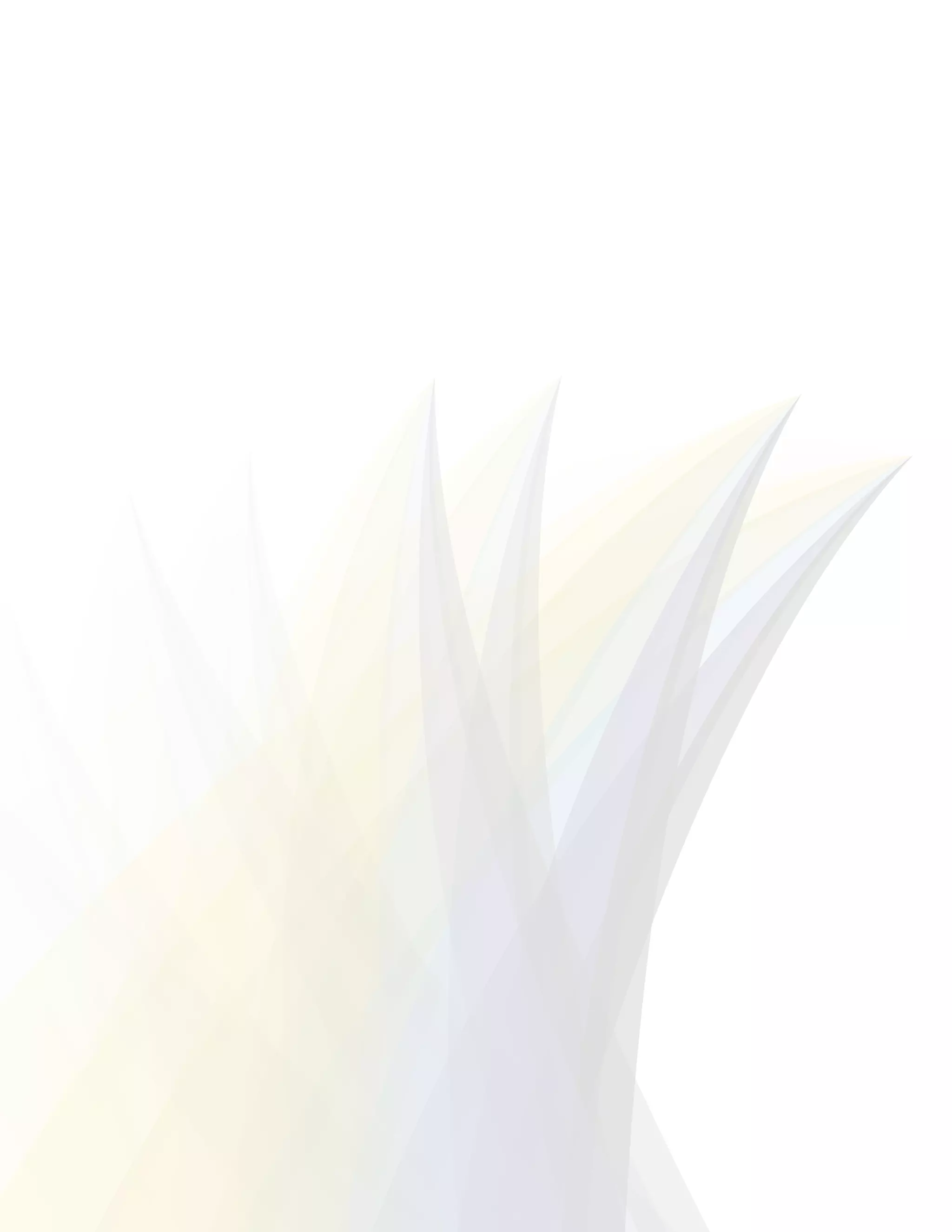 990025 p executive-summary-final-may20