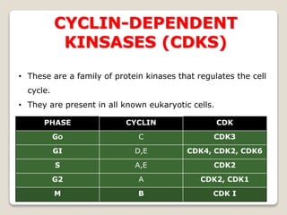 Cell Cycle and Its Control Mechanism : Devendra Kumar | PPTX